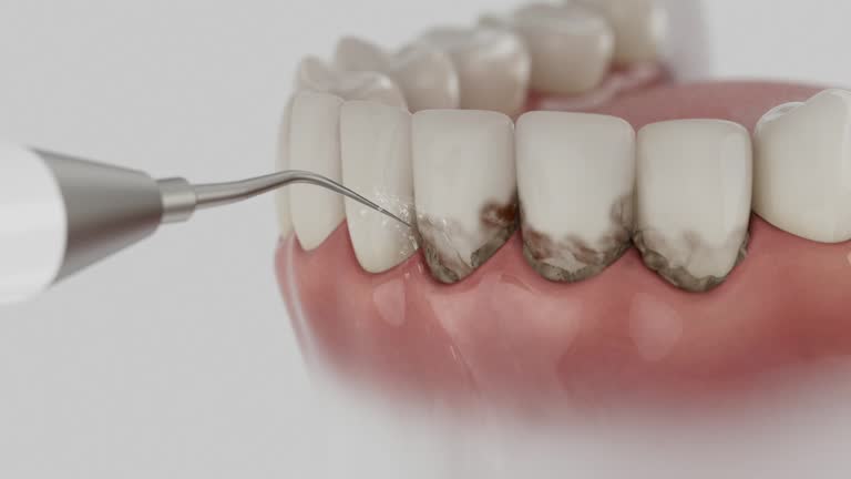 Reliable Dental contractor in Chevy Chase View, MD by Dentist Open Now